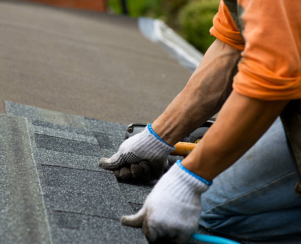 Best Roof Leak Repair  in Moose Lake, MN